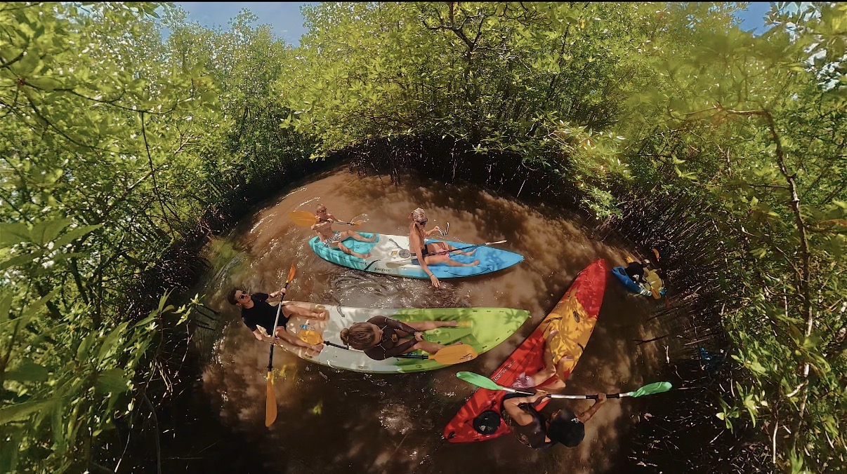 Каяки